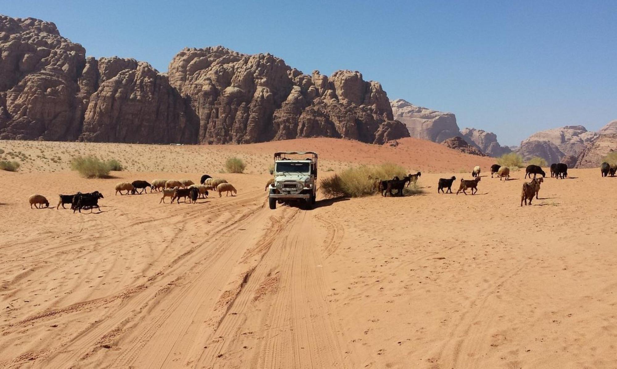 Authentic Bedouin Camp Wadi Rum Exterior foto